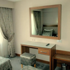 Hotel Buyuk Paris 3* Номер Делюкс с двуспальной кроватью фото 3