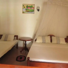 Drifters Hotel & Beach Restaurant Стандартный номер с различными типами кроватей фото 8