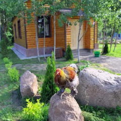 Гостиница Forest Court Беларусь, Могилёв - отзывы, цены и фото номеров - забронировать гостиницу Forest Court онлайн фото 7