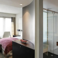 Отель Sofitel Brussels Europe 5* Стандартный номер с различными типами кроватей фото 3