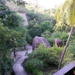 Отель Koh Tao Royal Resort 3* Бунгало Делюкс с различными типами кроватей фото 30