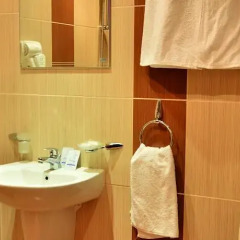 Отель St. Anastasia Apartments Болгария, Банско - отзывы, цены и фото номеров - забронировать отель St. Anastasia Apartments онлайн ванная