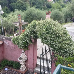 Отель Casa Cecilia Массароза фото 2