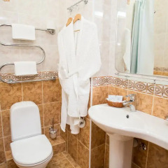 Гостиница Престиж 4* Полулюкс с разными типами кроватей фото 15