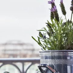 Отель Hilton Brighton Metropole Великобритания, Брайтон - отзывы, цены и фото номеров - забронировать отель Hilton Brighton Metropole онлайн балкон