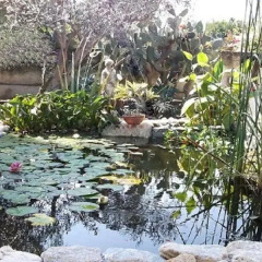 Отель Oasi blu vacanze mare Siracusa Фонтане-Бьянке приотельная территория