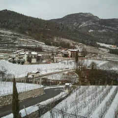 Отель Agritur Le Pergole Помароло фото 9