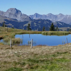 Отель Chalet Weidhaus Ferienwohnung & Zimmer