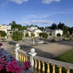 Отель Dr. Adler Spa & Kurhotel Чехия, Франтишкови-Лазне - отзывы, цены и фото номеров - забронировать отель Dr. Adler Spa & Kurhotel онлайн балкон