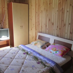 Гостиница Пригодичи Стандартный номер 2 отдельные кровати