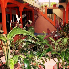 Hotel & Hostal Yaxkin Copan фото 7