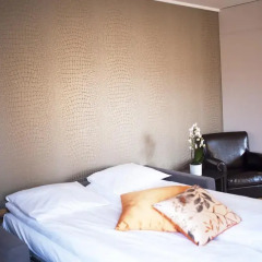 Comfort Hotel Park 3* Стандартный семейный номер с двуспальной кроватью фото 3