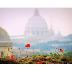Отель Rome Luxury Rental - Vicolo Palle фото 3