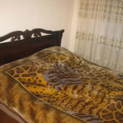 Отель Modern Flat in the heart of Yerevan в номере