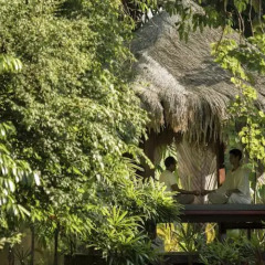 Отель Four Seasons Resort Langkawi Малайзия, Лангкави - отзывы, цены и фото номеров - забронировать отель Four Seasons Resort Langkawi онлайн фото 7