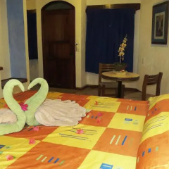 Отель Eco-hotel El Rey del Caribe Мексика, Канкун - отзывы, цены и фото номеров - забронировать отель Eco-hotel El Rey del Caribe онлайн детские мероприятия
