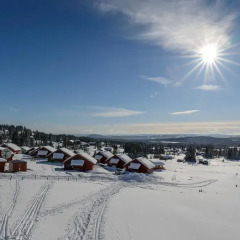 Отель Lillehammer Fjellstue 3* Коттедж с различными типами кроватей фото 17