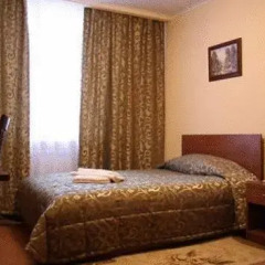 Гостиница Авиаотель 3* Стандартный номер с разными типами кроватей фото 5