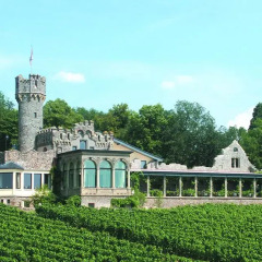 Relais & Châteaux Hotel Burg Schwarzenstein Гайзенхайм фото 4
