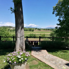 Отель La Piana Монцамбано фото 2