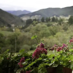 Отель Viviendas Rurales Traldega Камалено фото 2
