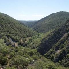 Отель Lincetur Cabañeros - Centro de Turismo Rural Испания, Сан-Мартин-де-Монтальбан - отзывы, цены и фото номеров - забронировать отель Lincetur Cabañeros - Centro de Turismo Rural онлайн приотельная территория фото 2