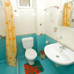 Family Hotel Orfei ванная