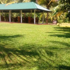 Отель Rajarata Lodge фото 10