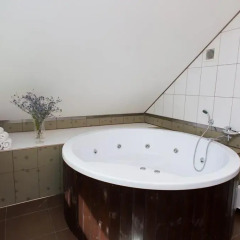 Гостиница Парк Дракино 3* Номер Делюкс с различными типами кроватей фото 4