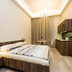 Апартаменты Ostrovni Apartment Прага комната для гостей фото 5