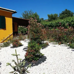 Отель Douro Valley - Casa Vale do Douro Португалия, Ламего - отзывы, цены и фото номеров - забронировать отель Douro Valley - Casa Vale do Douro онлайн фото 4