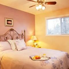 Отель Wild Rose Bed & Breakfast 2* Стандартный номер с различными типами кроватей фото 3