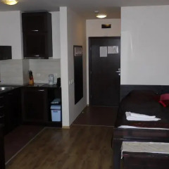 Апартаменты Bansko Royal Towers Apartment Банско в номере фото 2