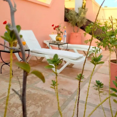 Отель Riad Al Jana Марокко, Марракеш - отзывы, цены и фото номеров - забронировать отель Riad Al Jana онлайн фото 6