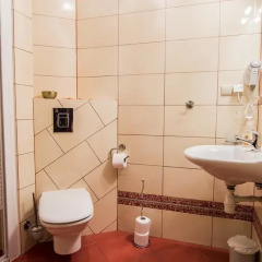 Отель Apartamenty Top Zakopane ванная