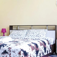 Hotel na Ligovskom 2* Стандартный номер с двуспальной кроватью фото 42
