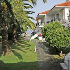 Отель Miramare Hotel Греция, Ситония - отзывы, цены и фото номеров - забронировать отель Miramare Hotel онлайн фото 4