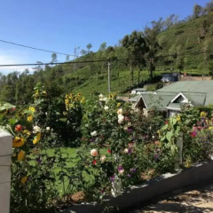 Отель Heaven Seven Nuwara Eliya Шри-Ланка, Нувара-Элия - отзывы, цены и фото номеров - забронировать отель Heaven Seven Nuwara Eliya онлайн фото 4
