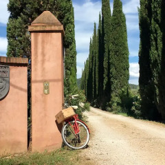 Отель Agriturismo Tra gli Ulivi Кастаньето-Кардуччи спортивное сооружение
