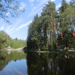 Гостиница Курорт-парк Улиткино в Улиткино отзывы, цены и фото номеров - забронировать гостиницу Курорт-парк Улиткино онлайн приотельная территория
