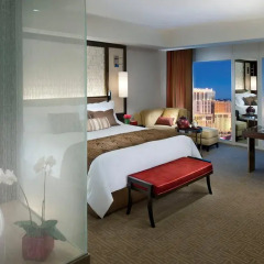 Отель Waldorf Astoria Las Vegas 5* Стандартный номер с различными типами кроватей фото 7