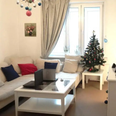Goldfish Hostel Кровать в женском общем номере
