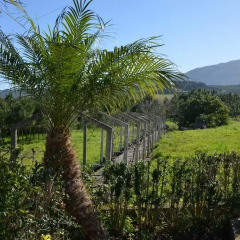 Отель Montejunto Eden - Casas de Campo