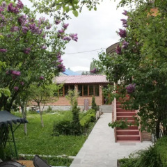 Отель MagHay B&B