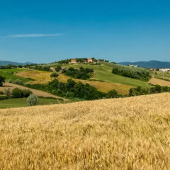 Отель Agriturismo Rivoli Сполето фото 2