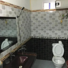 Отель Viet Hoang Guest House ванная