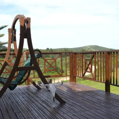Отель Harmony Game Lodge 3* Номер Делюкс с различными типами кроватей фото 3