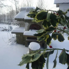 Отель Agriturismo ZÌ Carmine Аджерола фото 2