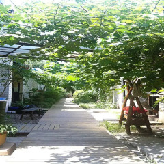 P.Loft Youth Hostel фото 6