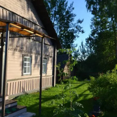 Гостиница Domik Gnezdyshko в Пушкинских Горах отзывы, цены и фото номеров - забронировать гостиницу Domik Gnezdyshko онлайн Пушкинские Горы бассейн